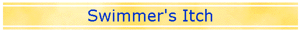 Swimmer's Itch
