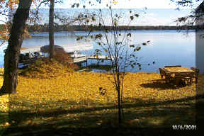 leaves.jpg (89684 bytes)