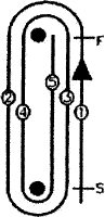 WL5.gif (8361 bytes)
